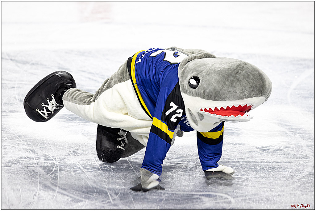 PENNY DEL;  Koelner Haie - Grizzlys Wolfsburg; Koeln, 25.11.2021